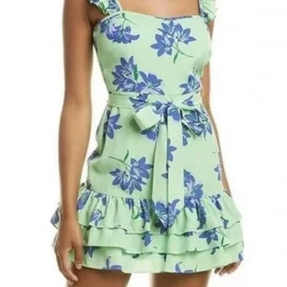 Likely Mini Charlotte Dress In Green Petal. NWT. Size 10 - Picture 2 of 13